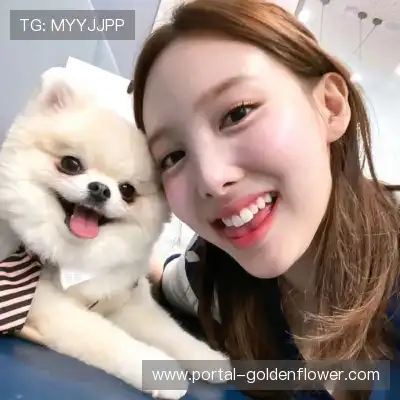 杨怡